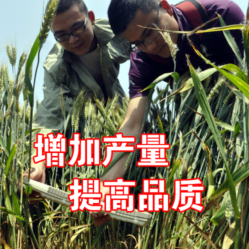 EM原液種植*益生菌菌種生根防病微生物菌劑改良土壤營養(yǎng)液 EM農(nóng)業(yè)種植原液