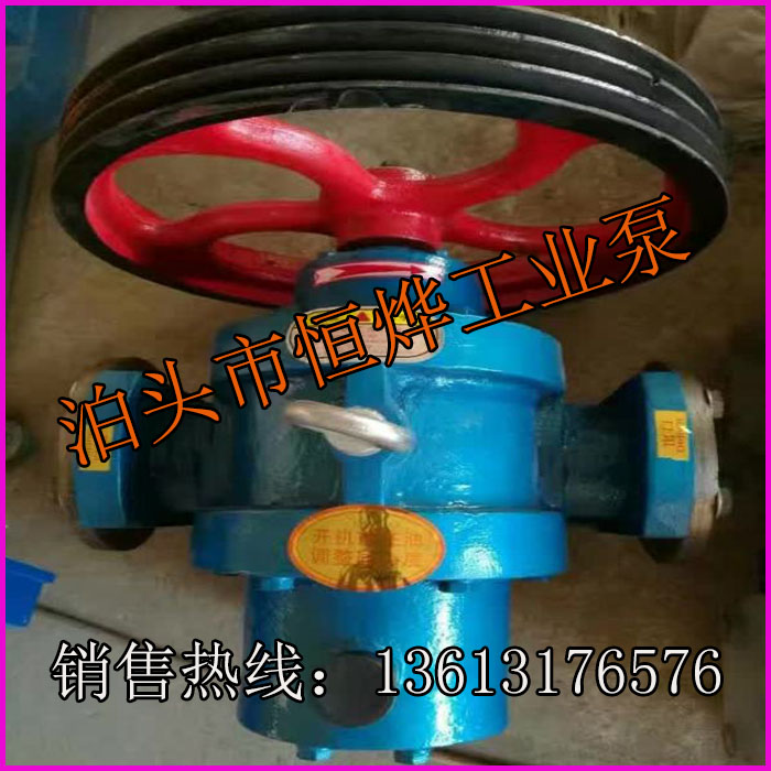 天津高粘度羅茨泵 天津高粘度羅茨泵多少錢