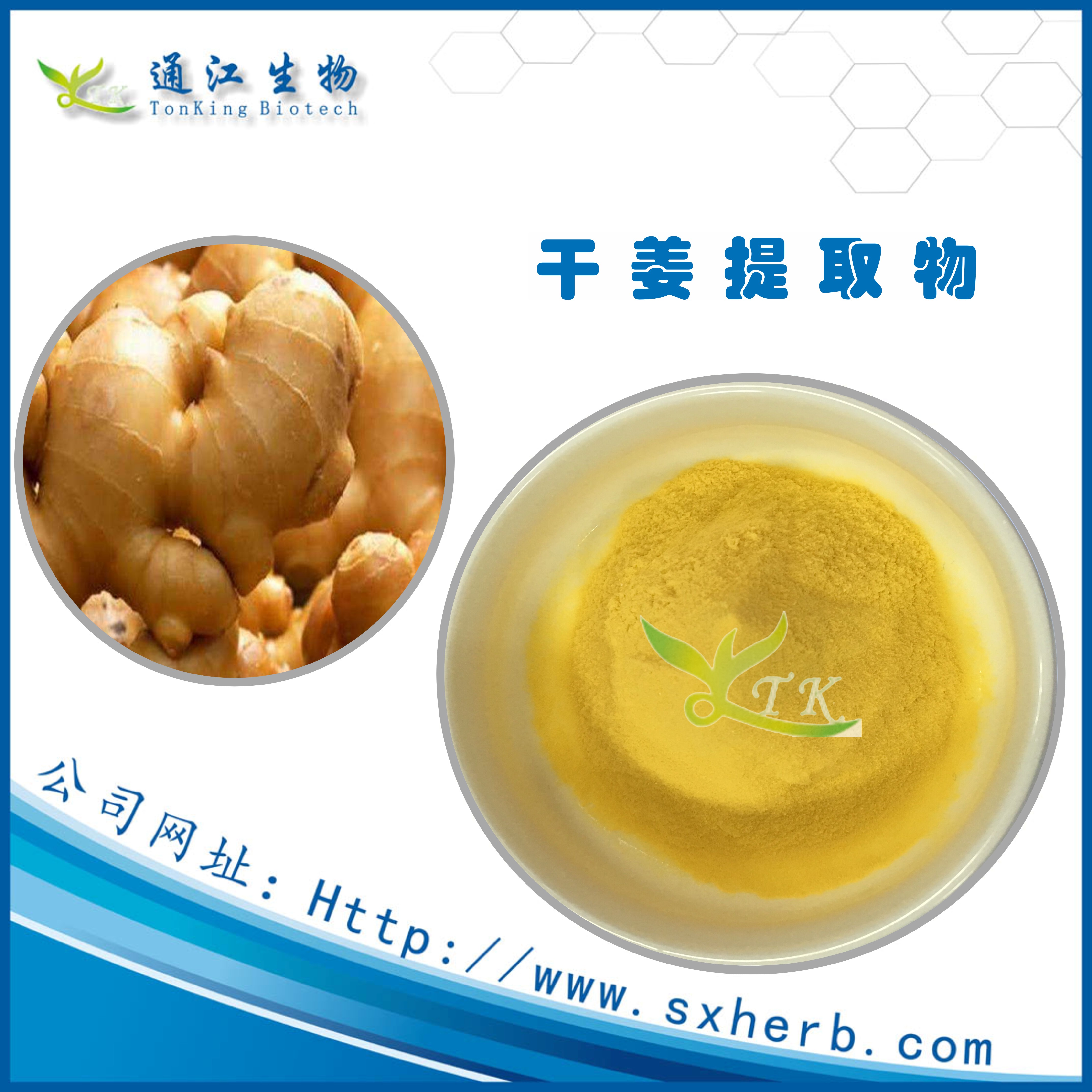 *廠家供應(yīng)干姜提取物 規(guī)格10