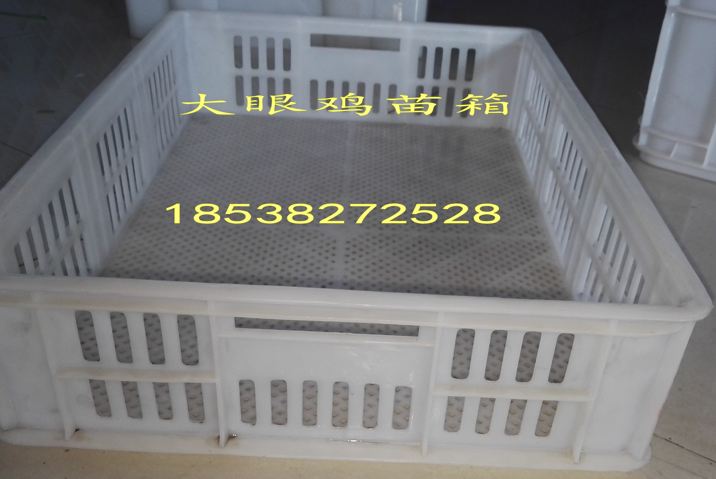 南陽塑料雞苗箱/塑料鴨苗箱