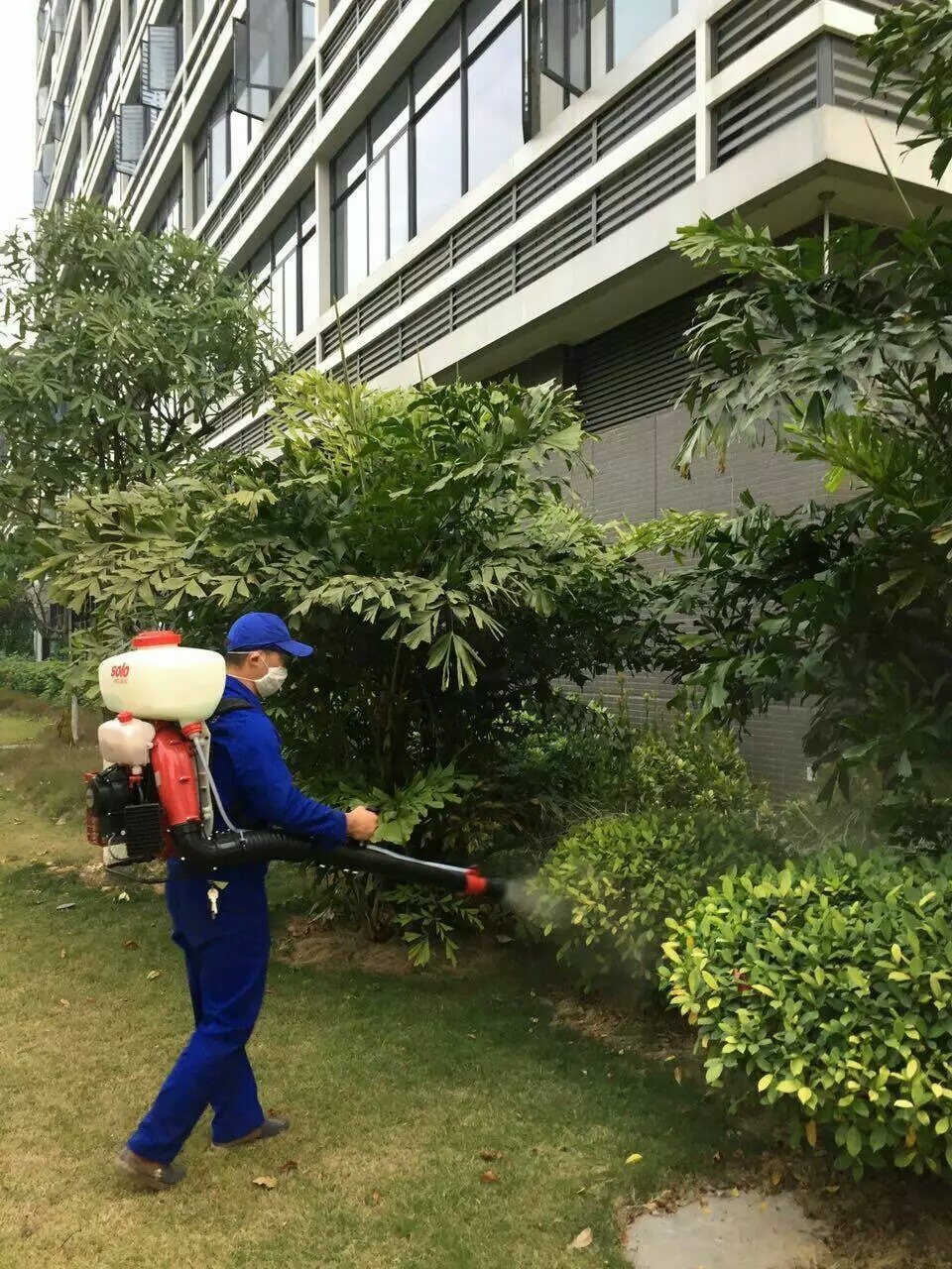 滅鼠服務(wù)_滅蟑螂服務(wù)_滅臭蟲除四害公司_東莞滅鼠服務(wù)公司