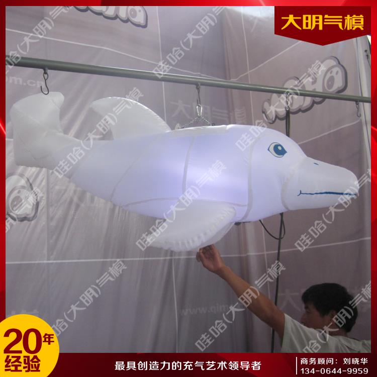 大明氣模 小海豚氣模