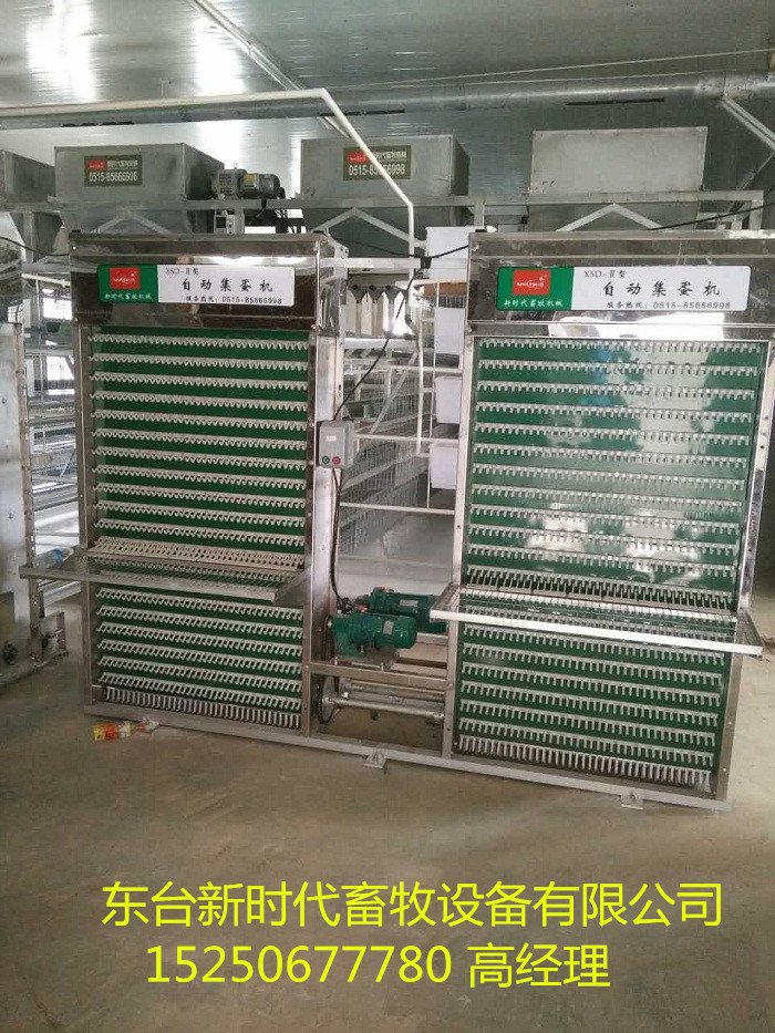 東臺新時代專業(yè)生產(chǎn)全自動養(yǎng)雞籠家易清洗 耐腐蝕 價格美麗 歡迎電話咨詢 全自動養(yǎng)雞