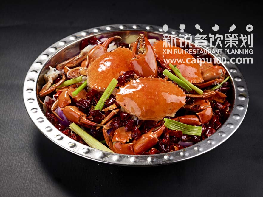 菜譜設(shè)計(jì)菜品拍攝 菜式設(shè)計(jì)菜單裝訂