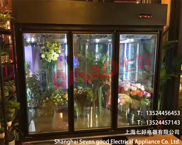 贛州鮮花保鮮柜展示柜