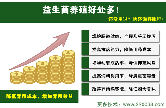 農(nóng)富康飼料發(fā)酵劑發(fā)酵泔水喂豬的發(fā)酵劑怎么購(gòu)買