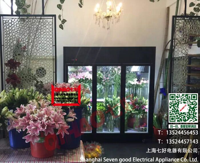 花店冷柜鮮花展示柜支持LOGO定做
