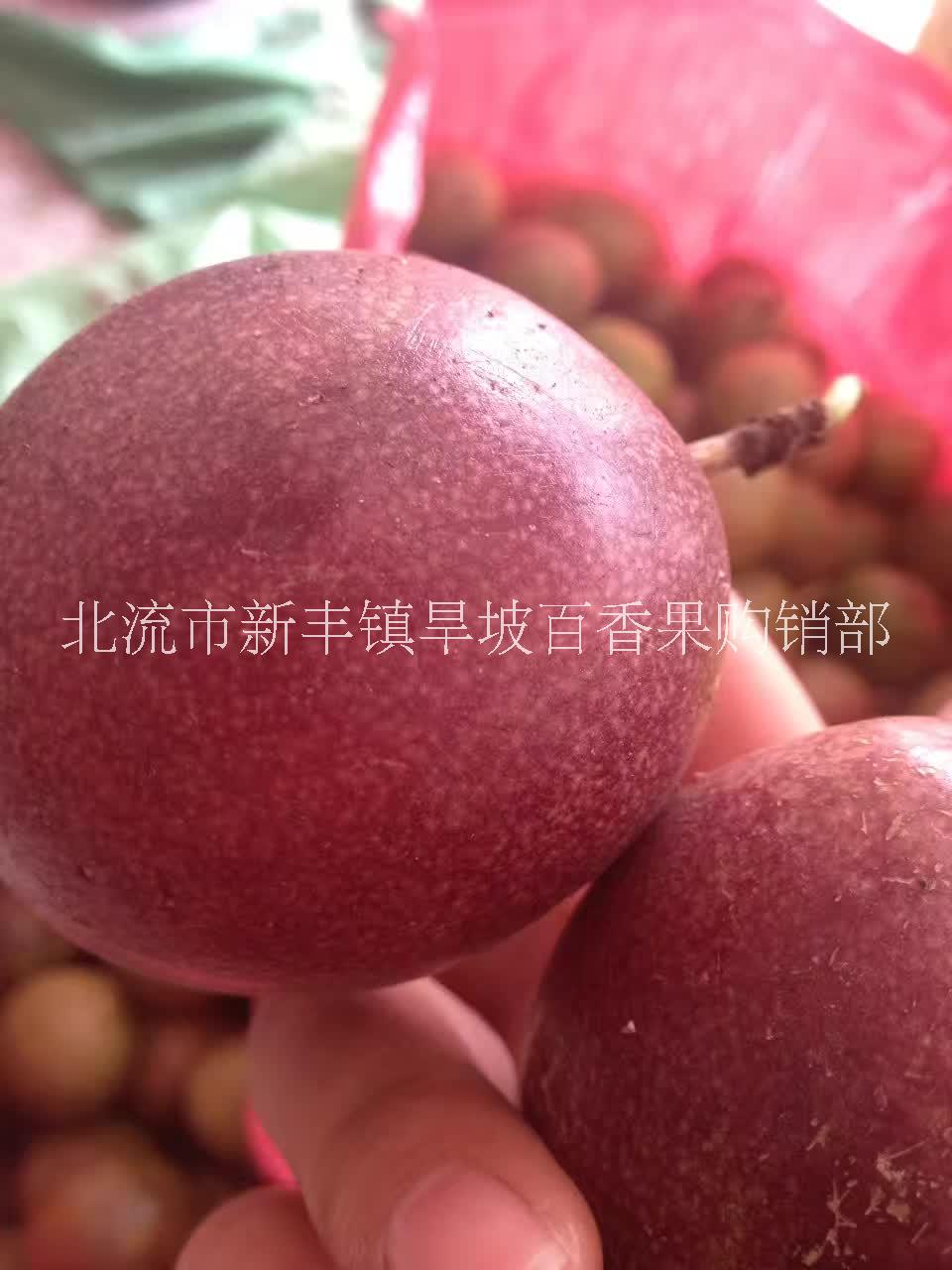 百香果　廣西百香果百香果產(chǎn)地*