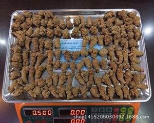 120頭三七批發(fā)  文山三七批發(fā)  云南文山三七批發(fā)  文山新葉三七批發(fā) 文山三七  文山三七功效