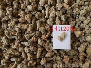 120頭三七批發(fā)  文山三七批發(fā)  云南文山三七批發(fā)  文山新葉三七批發(fā) 文山三七  文山三七功效