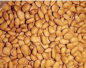 天水手剝松子開口松子原味堅果