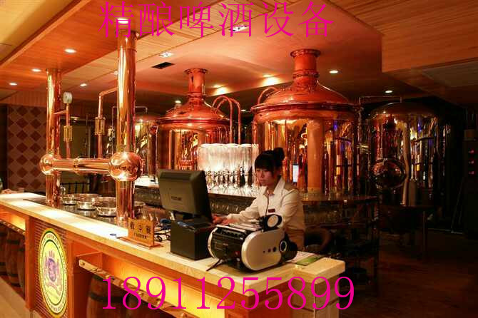 供應(yīng)山東哪賣(mài)自釀啤酒設(shè)備？多少錢(qián)一套