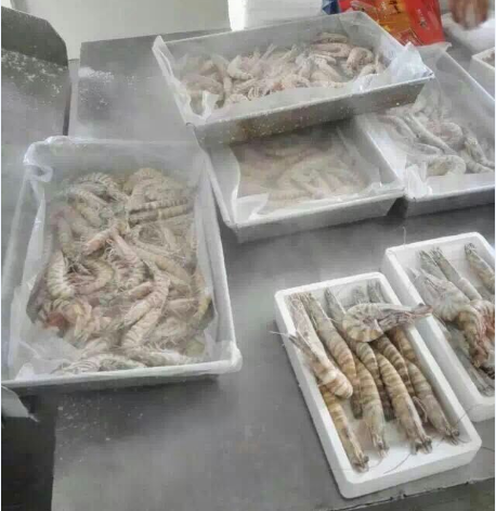 液氮速凍設(shè)備柜式速凍機(jī)隧道式液氮速凍機(jī)超低溫速凍設(shè)備冷凍機(jī)冷藏設(shè)備