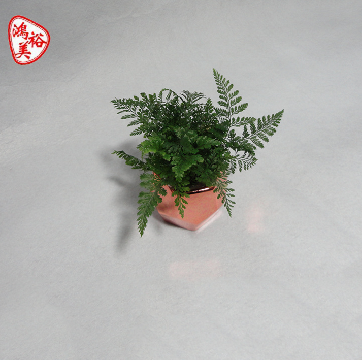 廠家直銷動物小花盆電鍍卡通環(huán)保德化陶瓷色釉小花盆時尚簡約定制