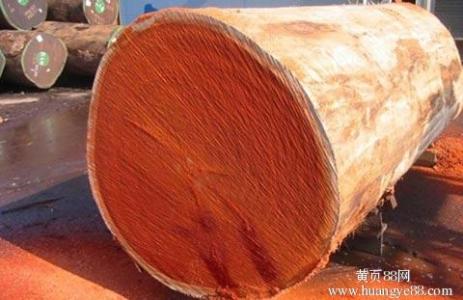 廈門木材進(jìn)口清關(guān)操作流程