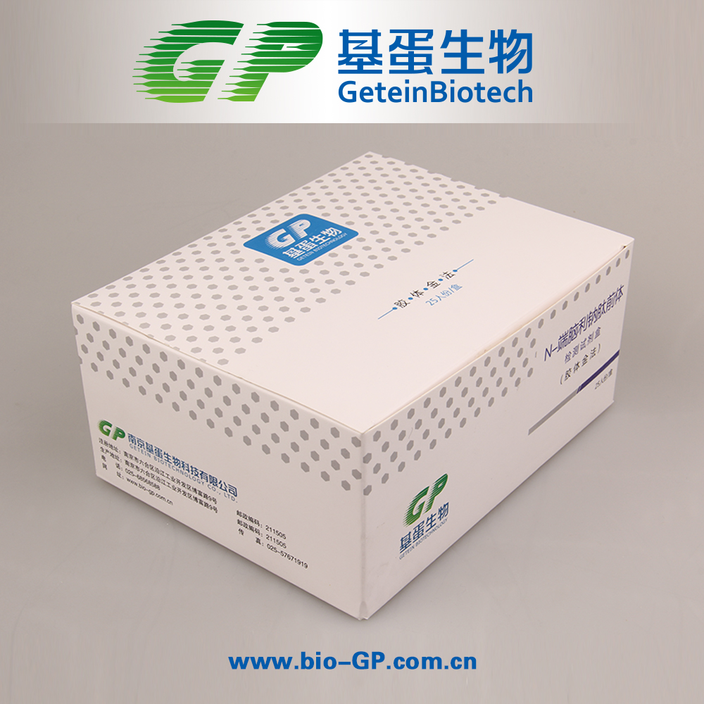 N-端腦利鈉肽前體檢測試劑盒