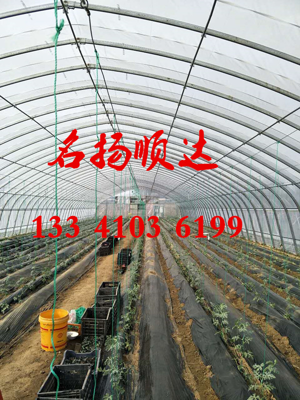 北京蔬菜大棚溫室、春秋棚、大棚薄膜棉被 北京蔬菜大棚溫室春秋大棚