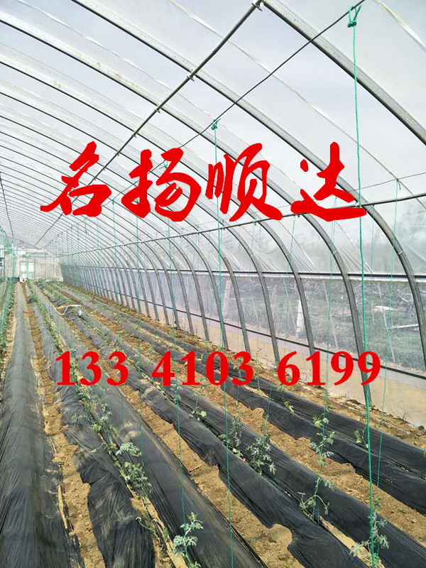 溫室大棚 溫室大棚、大棚溫室