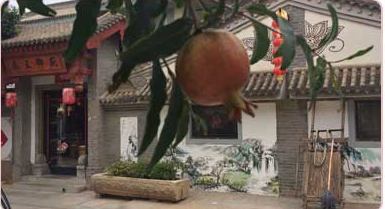 臨潼兵馬俑附近農(nóng)家樂_秦王御苑