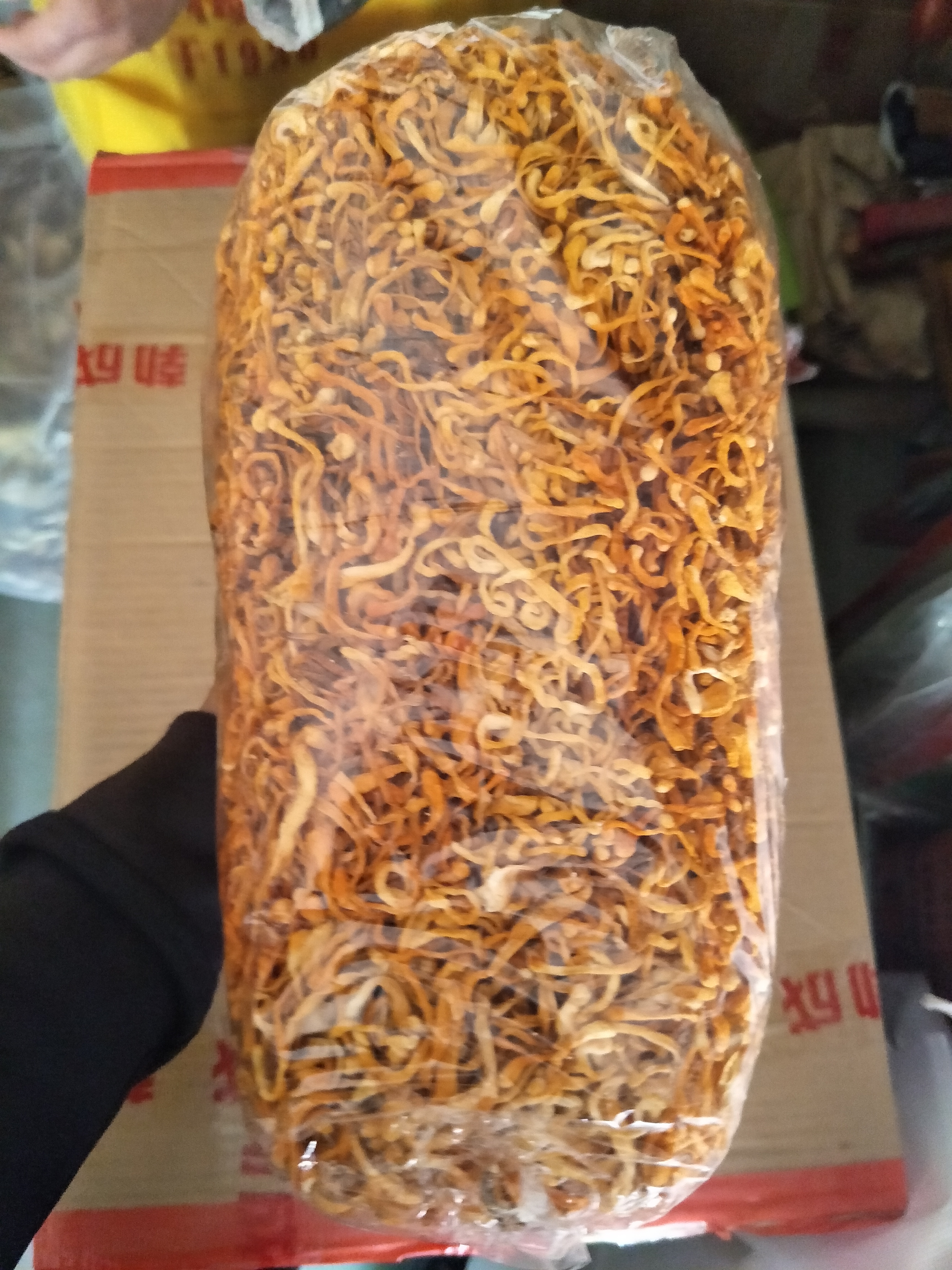 蟲草花 排草 蟲草花排草批發(fā) 蟲草花排草報價 蟲草花排草哪里好