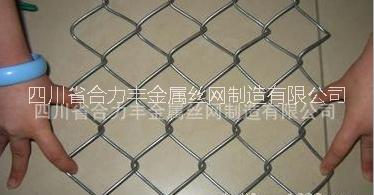 廠家促銷優(yōu)質(zhì)綠化噴播植草網(wǎng) 鐵絲固土活絡(luò)網(wǎng) 鍍鋅勾花網(wǎng) 鐵絲網(wǎng)