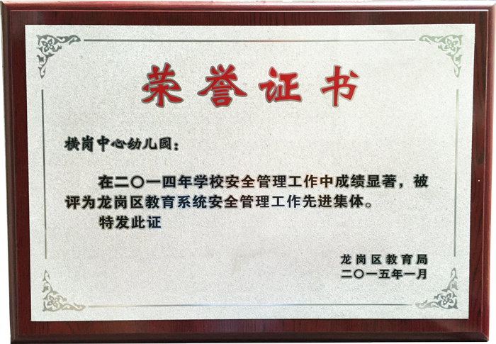 鋒航木托獎牌 鋒航木托獎牌榮譽*牌匾 鋒航木托獎牌榮譽*獎牌組織獎牌