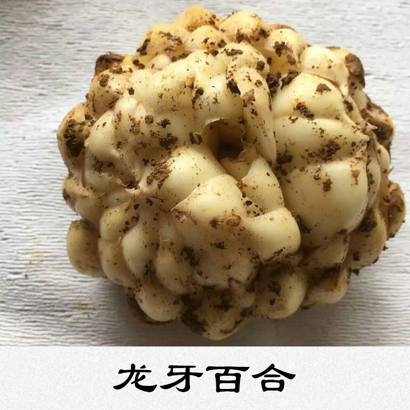 龍牙百合味淡不苦鱗莖球形營養(yǎng)豐富價格實惠龍牙百合生產基地
