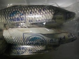 脆肉鯇做法大全,脆魚火鍋