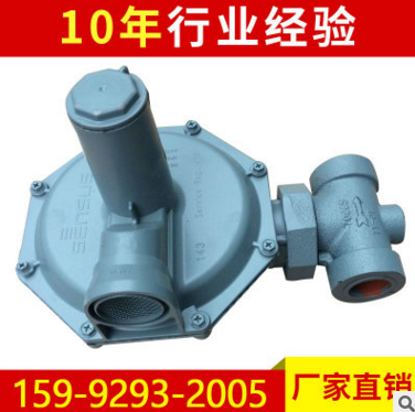 100KG氣化器 廠(chǎng)家*直銷(xiāo) 宏碩液化氣氣化器 落地式防爆氣化爐