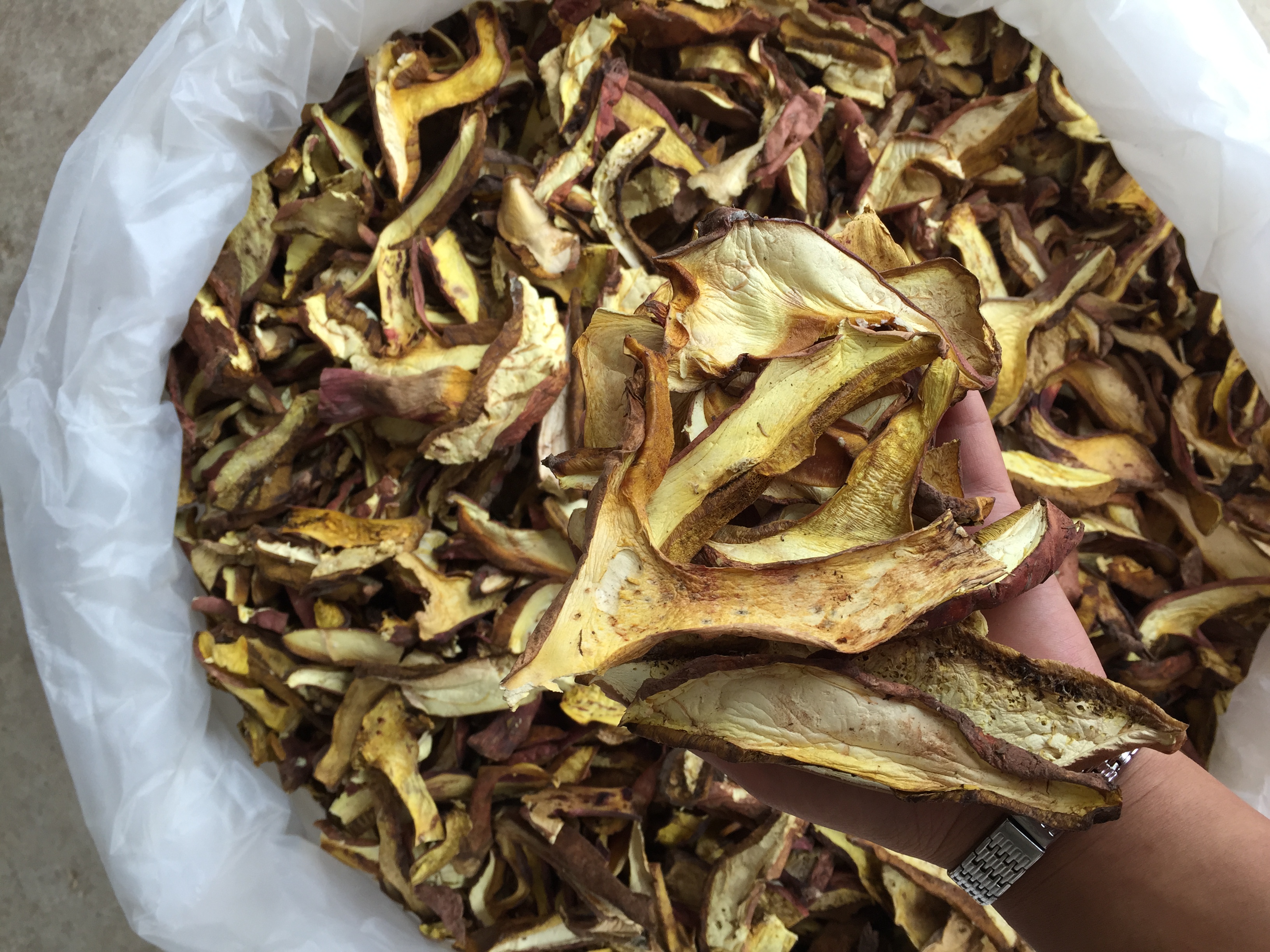 云南紅蔥菌 紅蔥菌批發(fā) 紅蔥菌報(bào)價(jià) 紅蔥菌供應(yīng)商 紅蔥菌哪里好