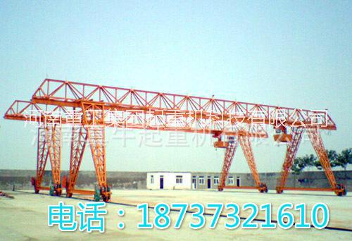河南重工花架電動葫蘆門式起重機生產(chǎn)廠家 廠家直銷