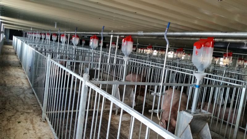 豬場(chǎng)自動(dòng)化供料設(shè)備 豬場(chǎng)自動(dòng)化供料設(shè)備廠家 豬場(chǎng)自動(dòng)化供料設(shè)備價(jià)格 豬場(chǎng)自動(dòng)化供料設(shè)備供應(yīng)