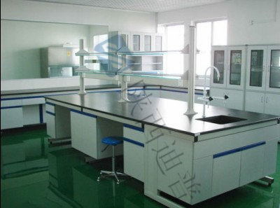 實(shí)驗(yàn)臺(tái)，通風(fēng)柜，器皿柜，試劑柜