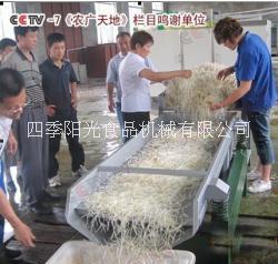 豆芽去皮機(jī)豆芽振動(dòng)去殼機(jī)