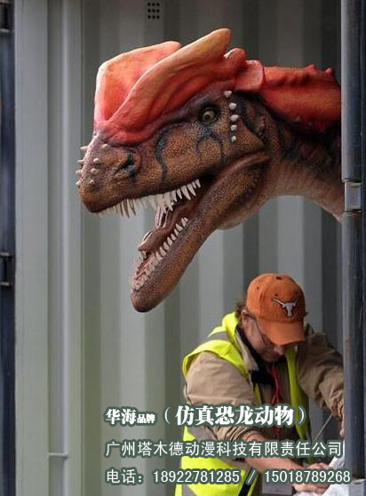 供應(yīng)會(huì)動(dòng)會(huì)叫仿真恐龍展出售，大型仿真恐龍出售，機(jī)械仿真恐龍訂做