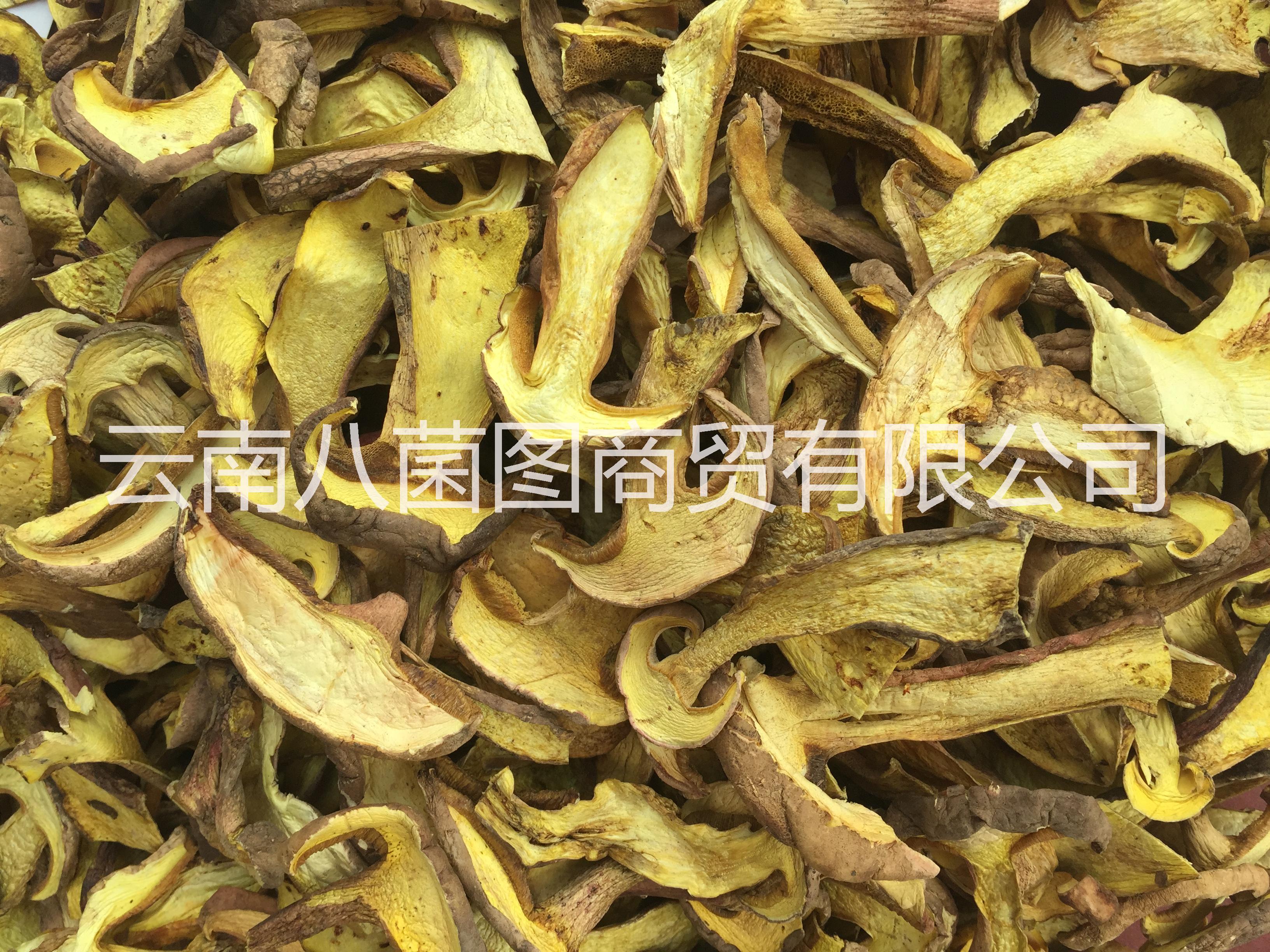 云南水白蔥菌 水白蔥菌批發(fā) 水白蔥菌供應(yīng)商 水白蔥菌哪里好