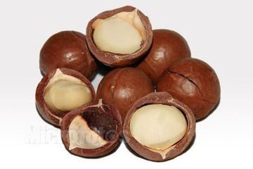 夏威夷果廠家直銷  500克/袋包裝  2公斤起包郵