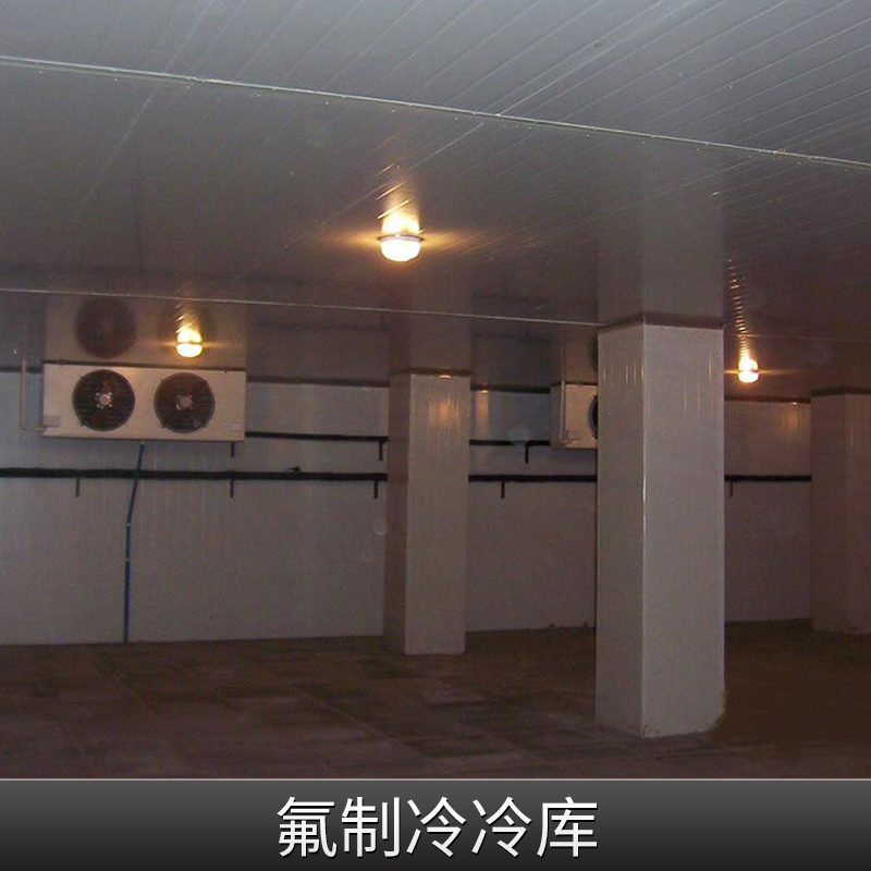 氟制冷冷庫(kù)大型冷庫(kù)制冷設(shè)備3匹冷庫(kù)制冷機(jī)組價(jià)格實(shí)惠冷庫(kù)廠家供應(yīng)
