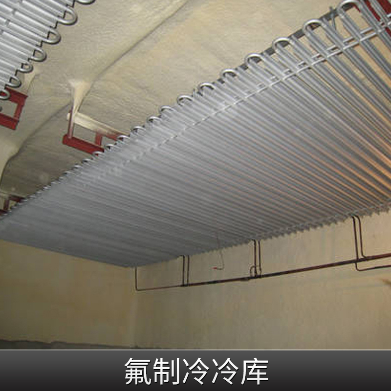 氟制冷冷庫(kù)大型冷庫(kù)制冷設(shè)備3匹冷庫(kù)制冷機(jī)組價(jià)格實(shí)惠冷庫(kù)廠家供應(yīng)