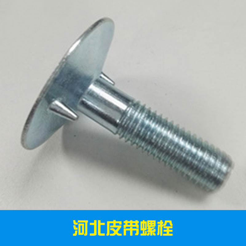 河北皮帶螺栓出售專(zhuān)業(yè)制造商 永年高強(qiáng)度皮帶螺栓制造廠家報(bào)價(jià) 量大優(yōu)惠