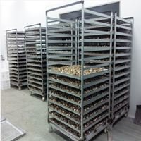 河南南陽香菇烘干機 食用菌烘干設(shè)備耗電量 食用菌全自動生產(chǎn)設(shè)備 食用菌烘干流水設(shè)備 食用菌烘干機廠家