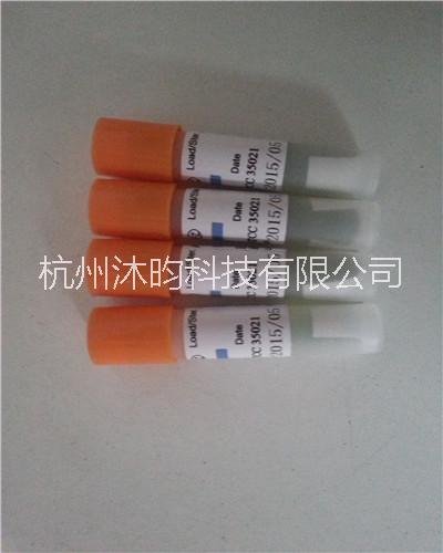 115度蒸汽*生物指示劑