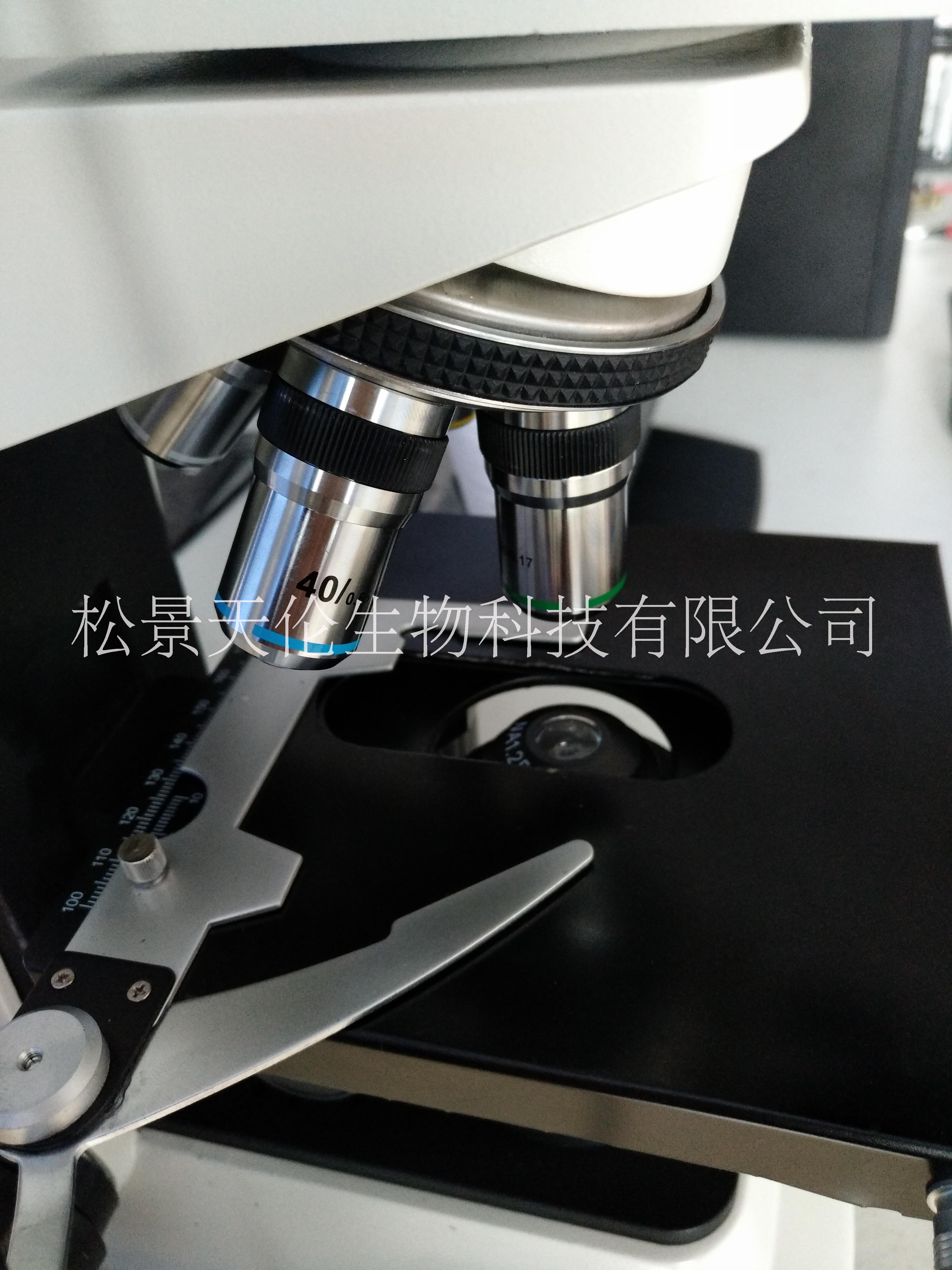 邁朗高精度自動精子分析儀