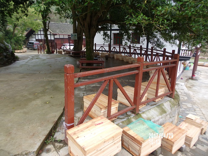 貴州貴陽遵義安順畢節(jié)銅仁都勻蜜蜂出售