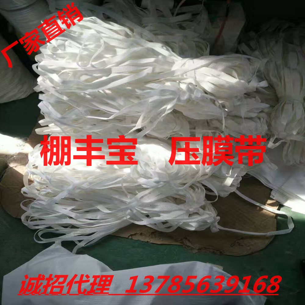 抗老化壓膜帶 棚豐寶壓膜帶（繩）