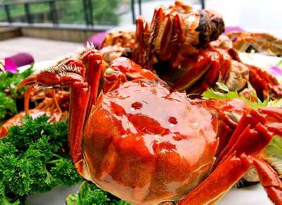 陽(yáng)澄湖大閘蟹 好蟹匯成都陽(yáng)澄湖大閘蟹666起來