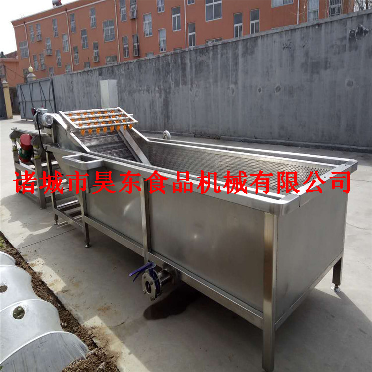 杈杷果氣泡清洗機 噴淋式杈杷果清洗設(shè)備   氣泡清洗機 清洗設(shè)備
