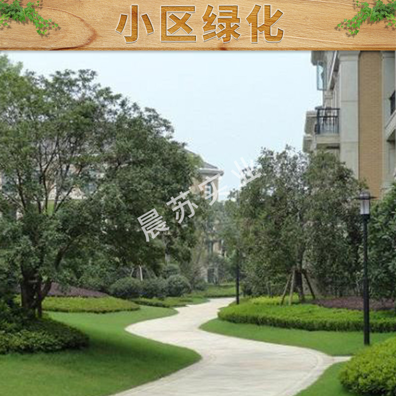 重慶綠化養(yǎng)護電話 居民住宅小區(qū)綠化養(yǎng)護 園林綠化工程