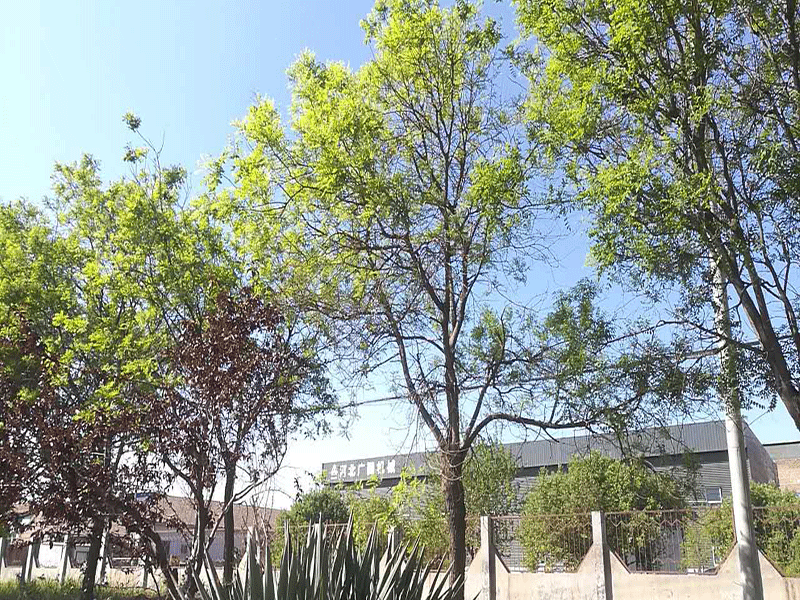 滑片泵供應(yīng)