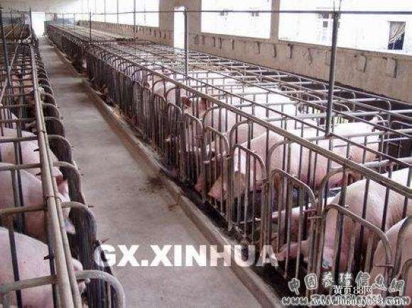 山東豬哈哈限位欄加厚限位欄*